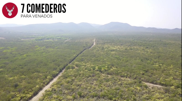 Finca-Rancho en venta en Rancheria, Linares — foto 3 de 26