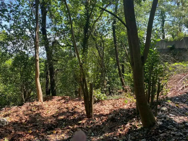 Terreno en venta en Olinala, San Pedro Garza García — foto 3 de 9