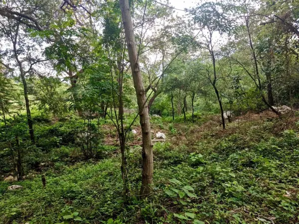 Terreno en venta en San José Norte, Santiago — foto 3 de 21