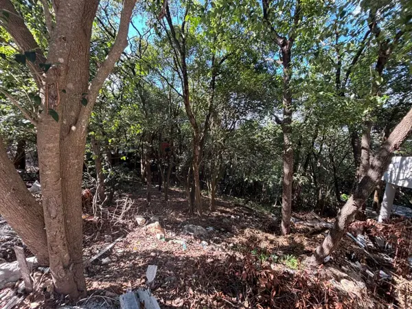 Terreno en venta en Olinala, San Pedro Garza García — foto 3 de 6