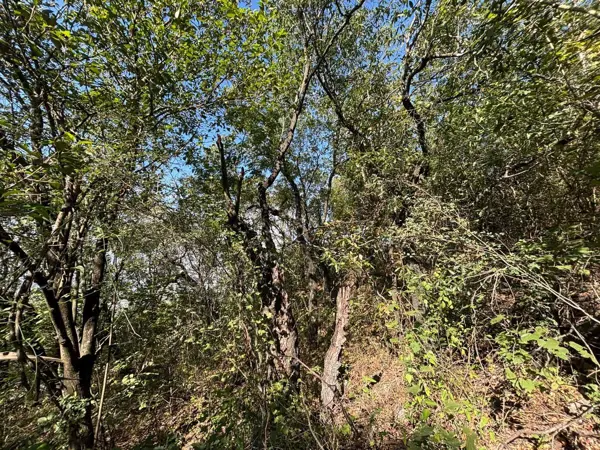 Terreno en venta en Bosques de San Ángel Sector Palmillas, San Pedro Garza García — foto 3 de 5