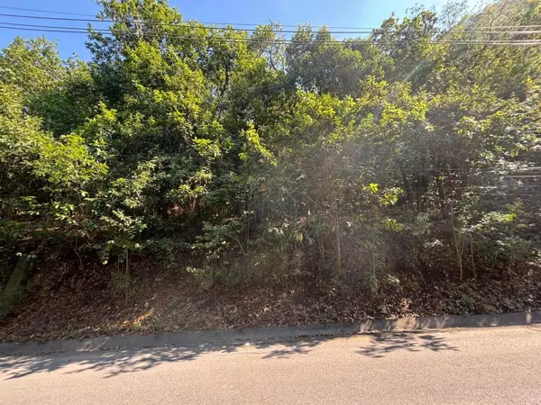 Terreno en venta en Olinala, San Pedro Garza García — foto 2 de 5