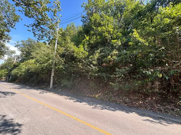Terreno en venta en Olinala, San Pedro Garza García — foto 3 de 5