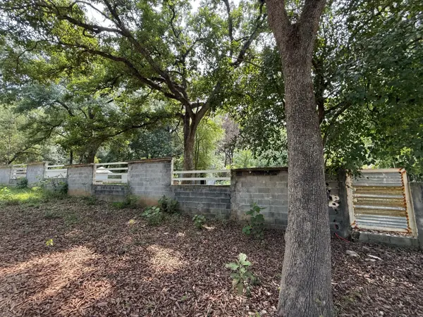 Terreno en venta en El Pastor, Montemorelos — foto 3 de 11