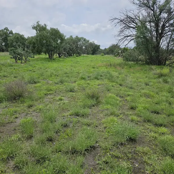 Terreno en venta en San Miguel, Zumpango — foto 3 de 15