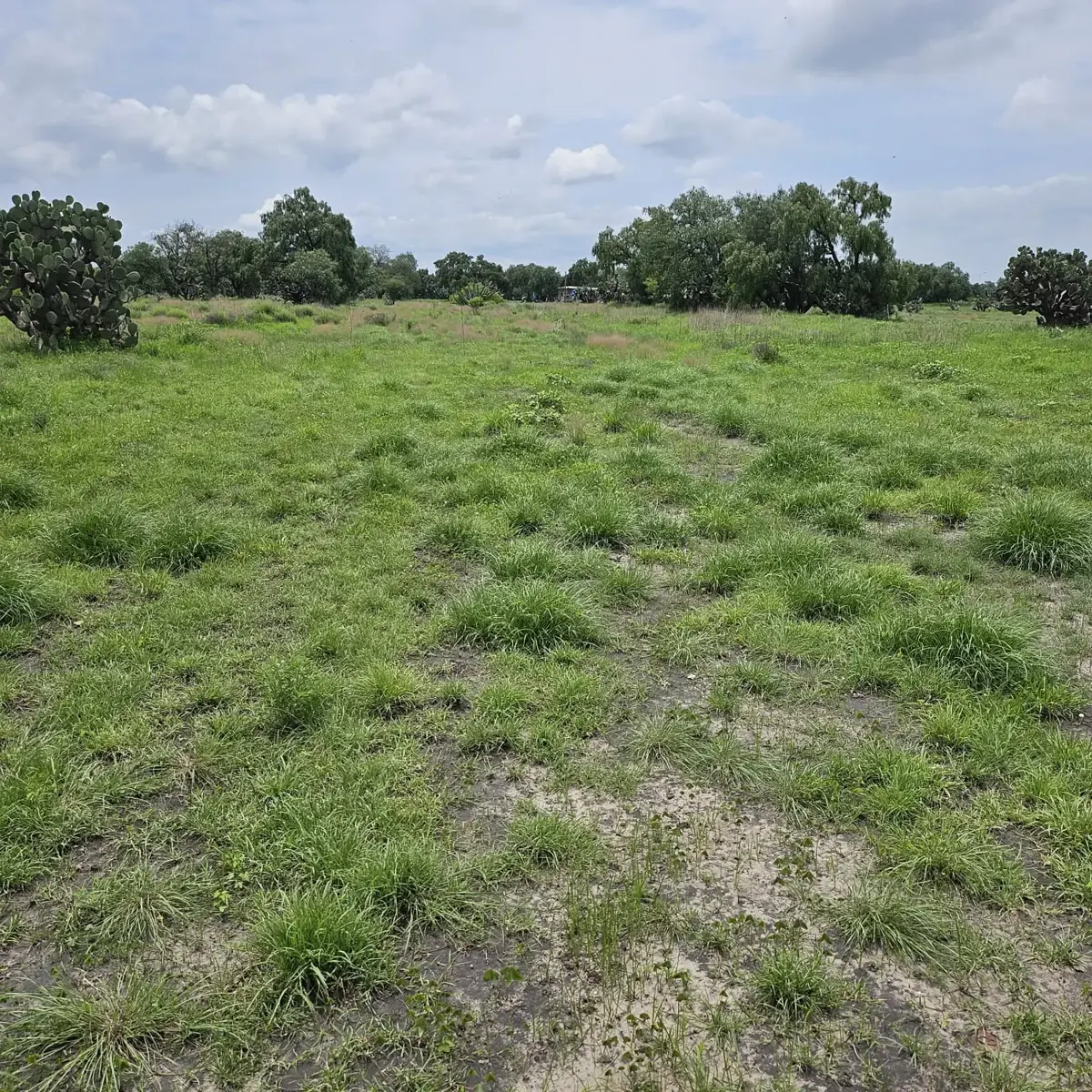 Terreno en venta en San Miguel, Zumpango — foto 1 de 15
