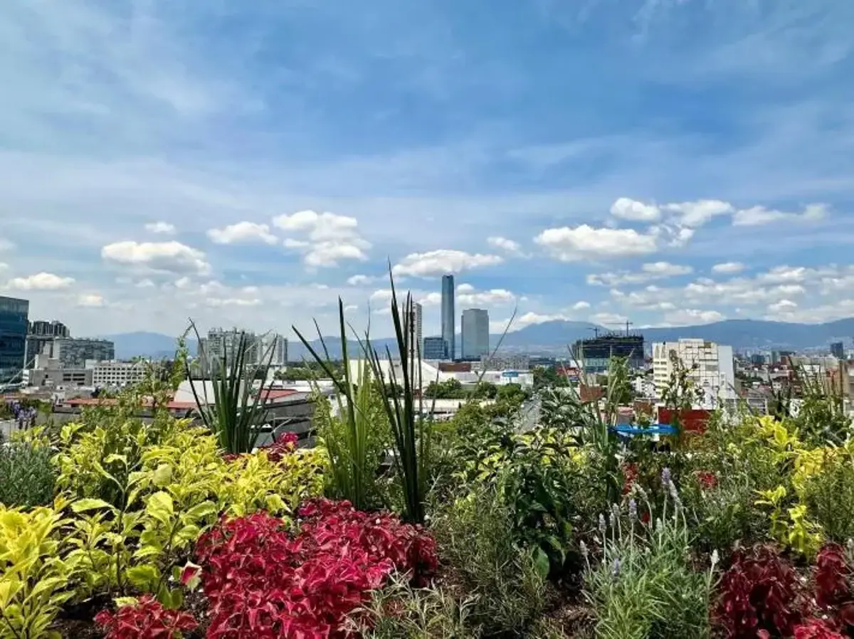 Departamento en renta en Del Valle Centro, Benito Juárez — foto 1 de 4