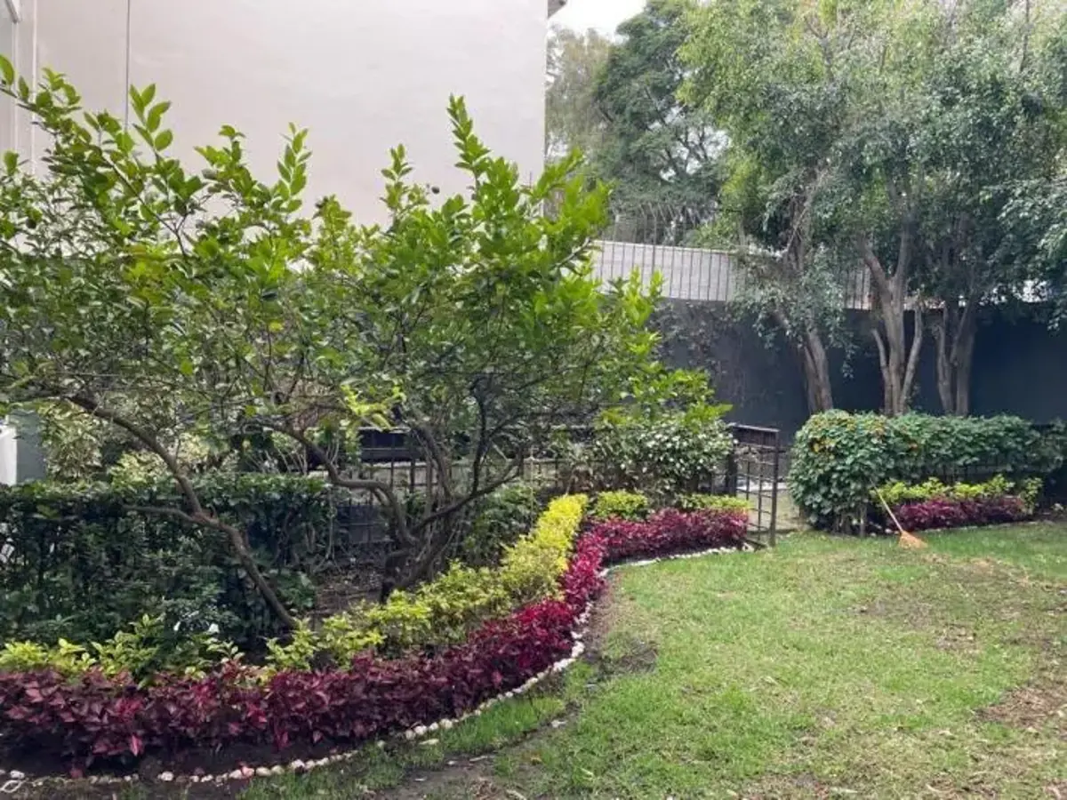 Casa en renta en Lomas del Pedregal Framboyanes, Tlalpan — foto 1 de 3