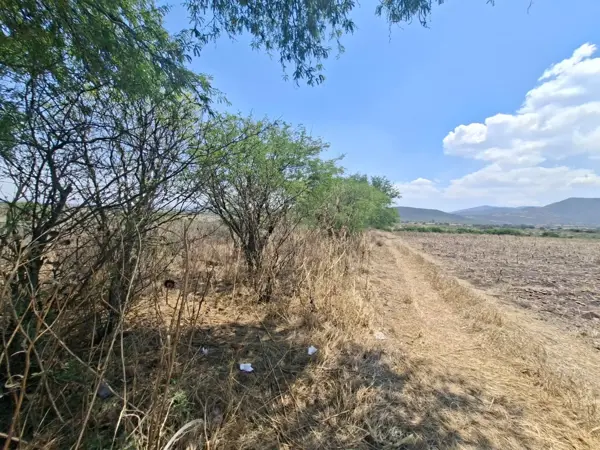 Terreno en venta en La D, Pedro Escobedo — foto 3 de 26