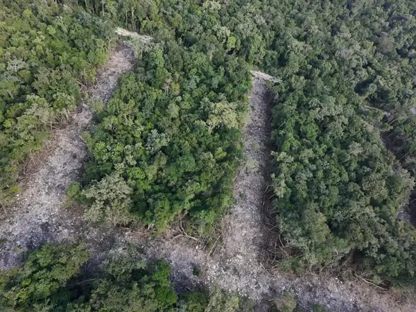 Terreno en venta en Akumal, Tulum — foto 2 de 7