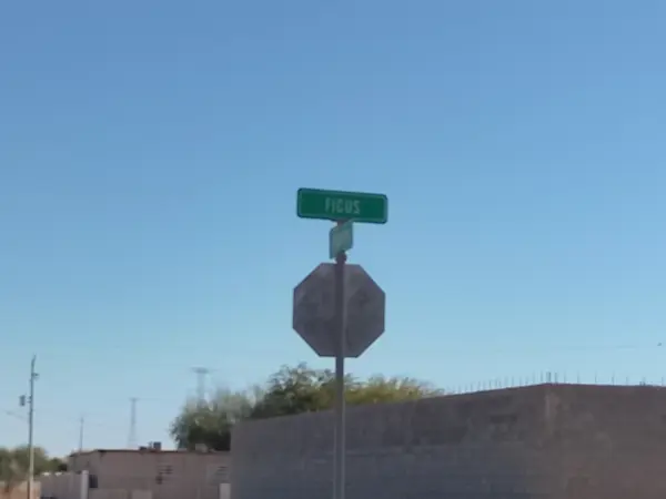 Terreno en venta en Ejido Cuernavaca, Mexicali — foto 2 de 3