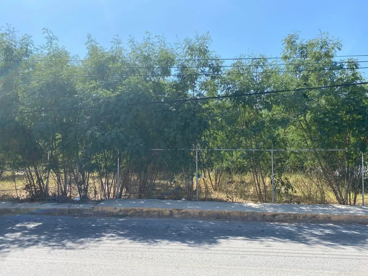 Terreno en venta en Centro de Pesquería, Pesquería — foto 1 de 8