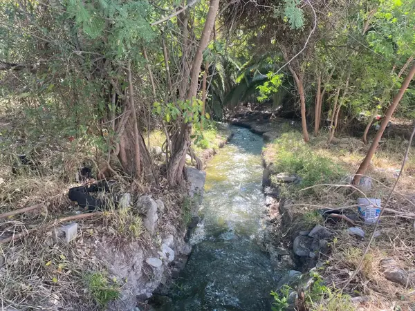 Terreno en venta en Centro de Pesquería, Pesquería — foto 3 de 8