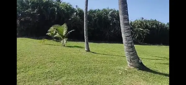 Terreno en venta en Playa de Vacas, Medellín de Bravo — foto 3 de 9