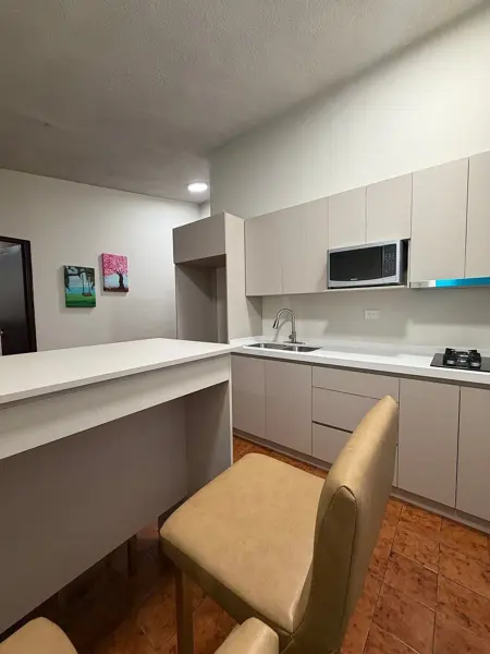 DEPARTAMENTO AMUEBLADO EN RENTA SAN NICOLAS