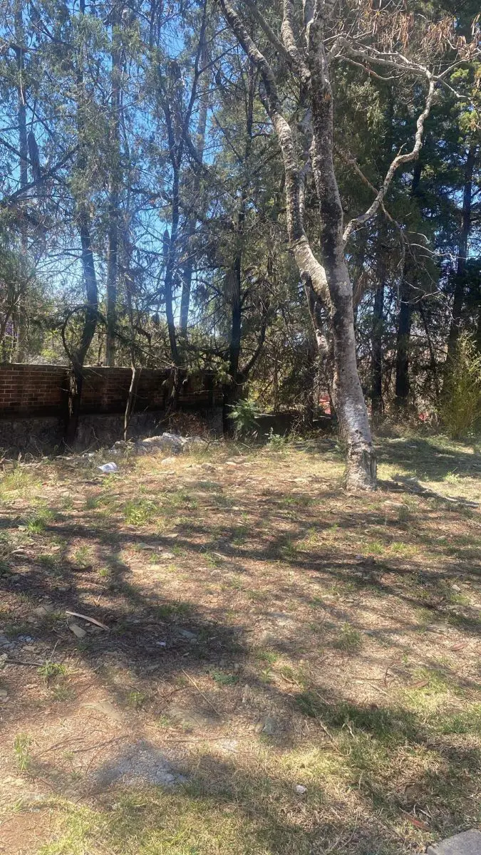 Terreno en venta en Ixtapan de la Sal, Ixtapan de la Sal — foto 1 de 3