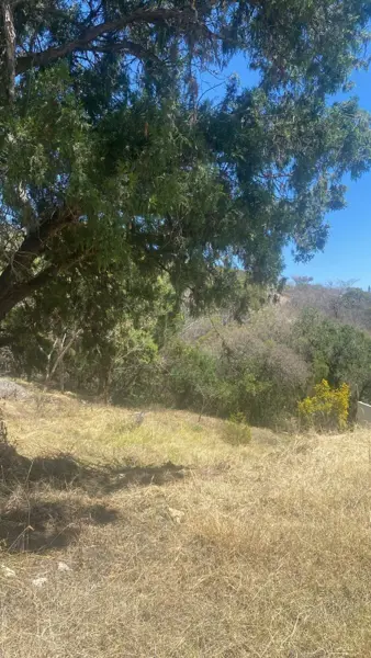 Terreno en venta en Ixtapan de la Sal, Ixtapan de la Sal — foto 2 de 3
