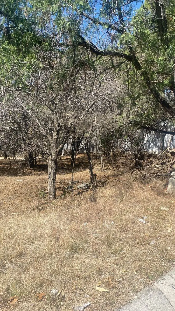 Terreno en venta en Ixtapan de la Sal, Ixtapan de la Sal — foto 1 de 3