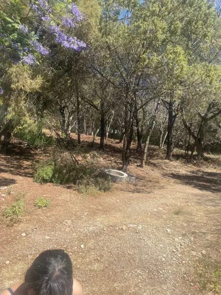 Terreno en venta en San Gaspar, Ixtapan de la Sal — foto 3 de 3