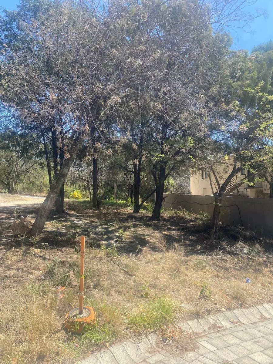 Terreno en venta en San Gaspar, Ixtapan de la Sal — foto 1 de 3