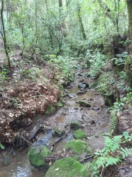 Terreno en venta en Cerro Gordo, Valle de Bravo — foto 3 de 6