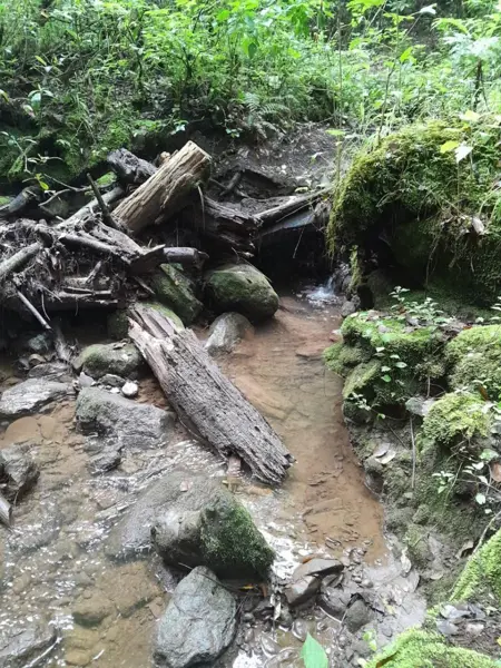 Terreno en venta en Cerro Gordo, Valle de Bravo — foto 2 de 6