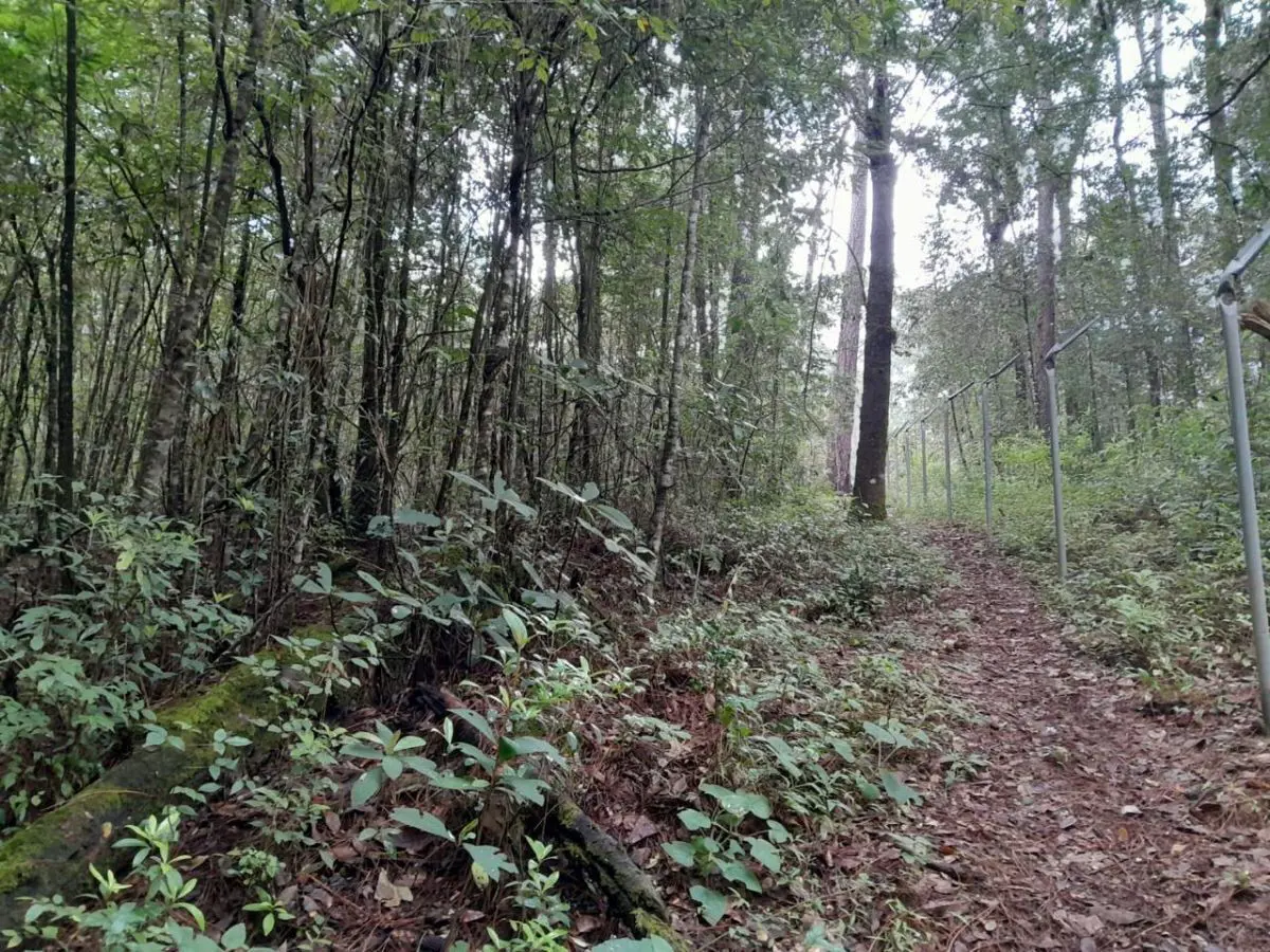 Terreno en venta en Cerro Gordo, Valle de Bravo — foto 1 de 6