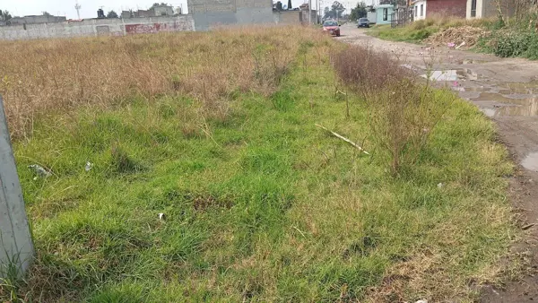 Terreno en venta en San Pablo Autopan, Toluca — foto 3 de 10