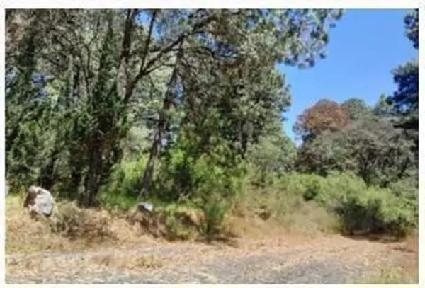 Terreno en venta en Avandaro, Valle de Bravo — foto 2 de 6