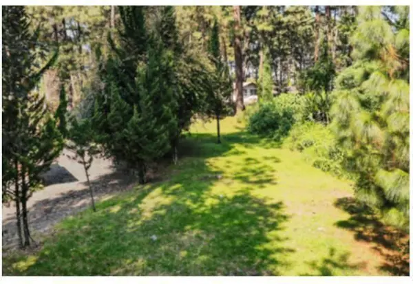 Terreno en venta en Avandaro, Valle de Bravo — foto 3 de 6