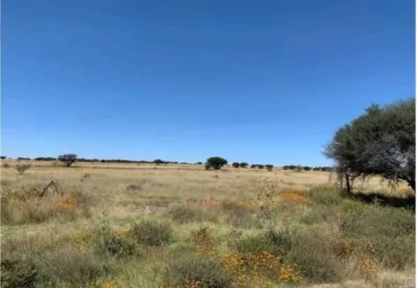Terreno en venta en Palo Colorado, San Miguel de Allende — foto 3 de 14