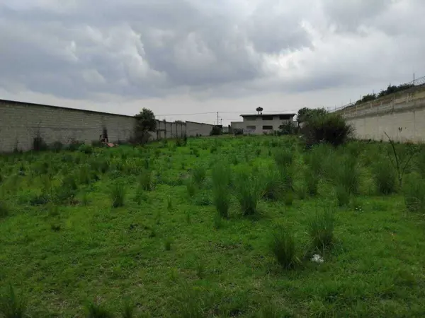 Terreno en venta en La Michoacana, Metepec — foto 2 de 4
