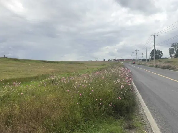 Terreno en renta en Santa Juana Primera seccion, Almoloya de Juárez — foto 3 de 7