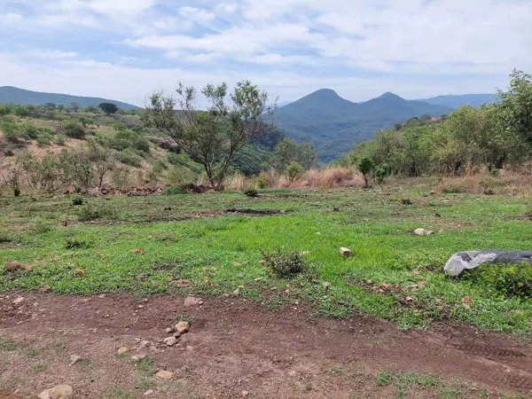 Terreno en venta en El Mogote, Pilcaya — foto 3 de 8