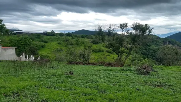Terreno en venta en El Mogote, Pilcaya — foto 2 de 8