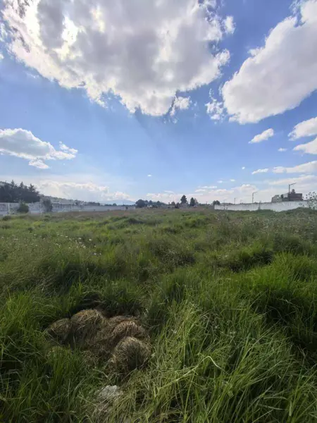 TERRENO EN VENTA y/o RENTA PALMILLAS, SOBRE CARRETERA ATLACOMULCO - TOLUCA.