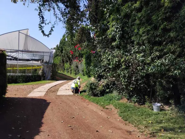 Terreno en venta en Villa Guerrero, Villa Guerrero — foto 3 de 7