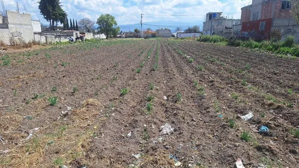 Terreno en venta en San Lucas, San Mateo Atenco — foto 2 de 2