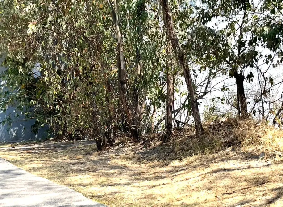 Terreno en venta en Bosque Real, Huixquilucan — foto 1 de 4