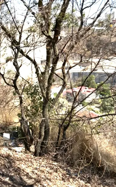 Terreno en venta en Bosque Real, Huixquilucan — foto 3 de 4