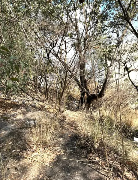 Terreno en venta en Bosque Real, Huixquilucan — foto 2 de 4