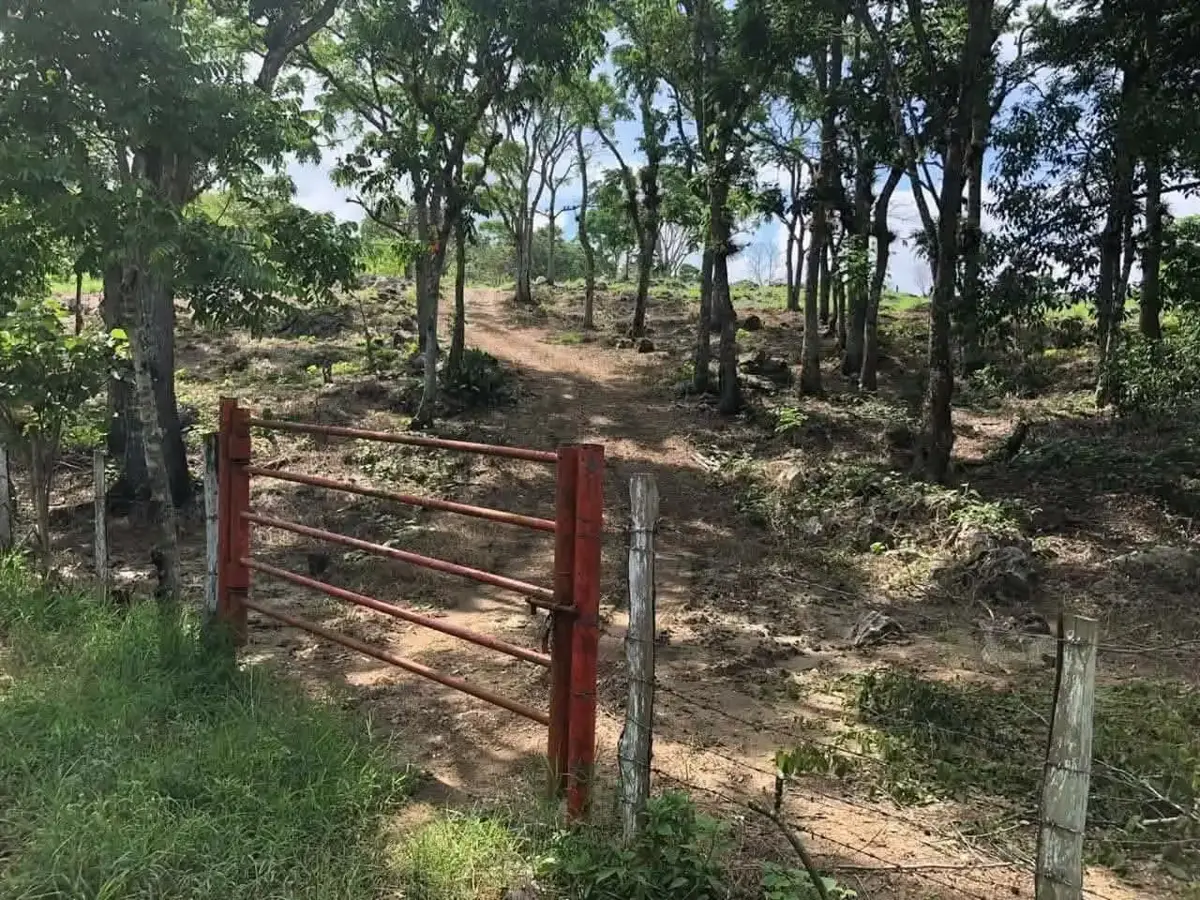 Terreno en venta en Benito Juárez, San Fernando — foto 1 de 10