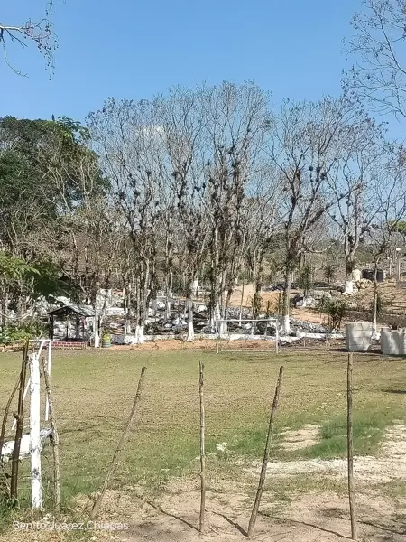 Terreno en venta en Benito Juárez, San Fernando — foto 3 de 10