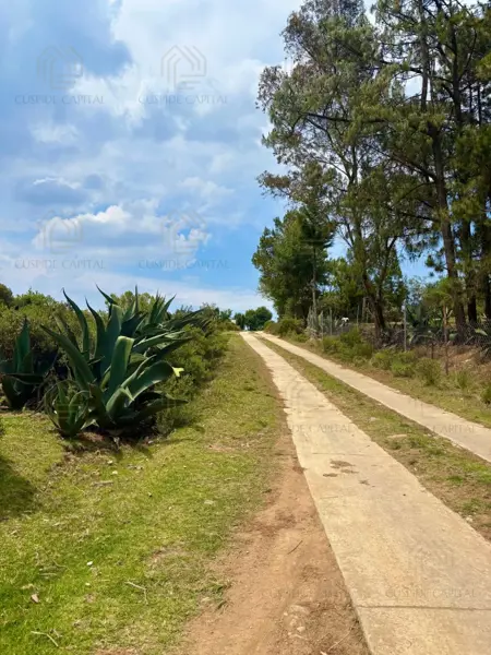 Terreno en venta en Tres Cañadas, Omitlán de Juárez — foto 3 de 7