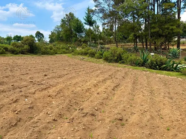 Terreno en venta en Tres Cañadas, Omitlán de Juárez — foto 2 de 7