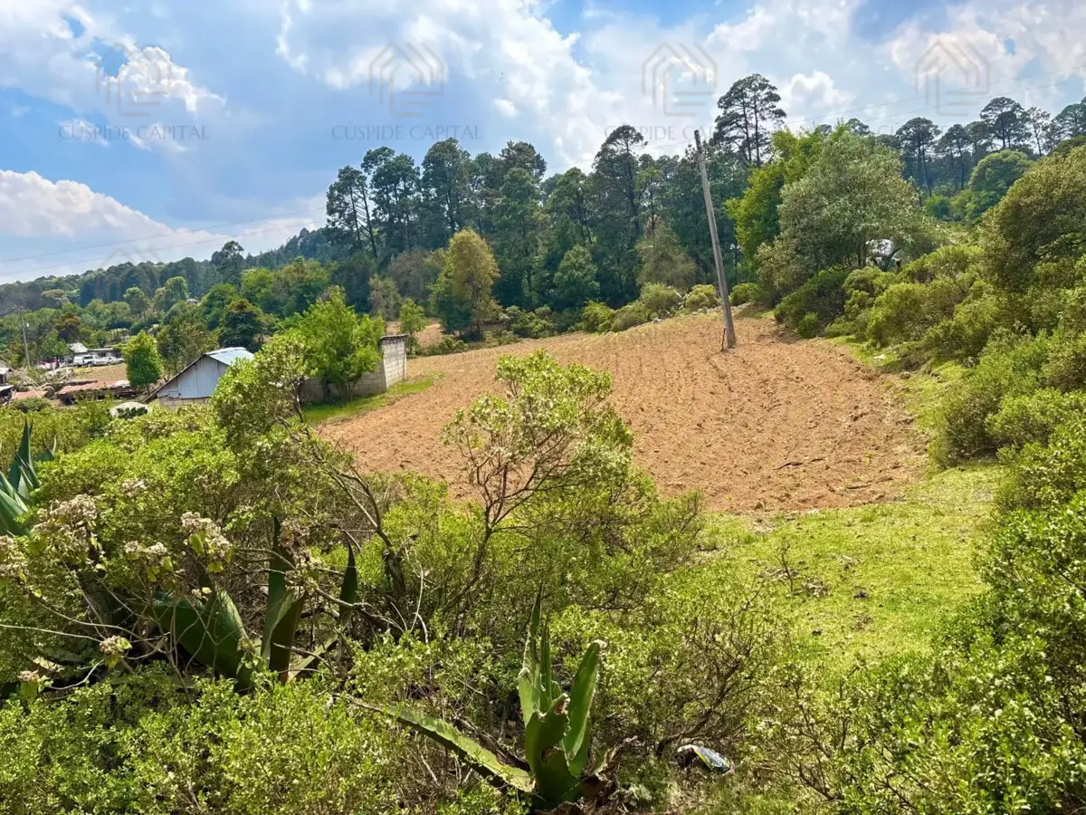 Terreno en venta en Tres Cañadas, Omitlán de Juárez — foto 1 de 7