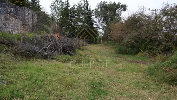 Terreno en venta en Rincón Chico, Omitlán de Juárez — foto 2 de 10