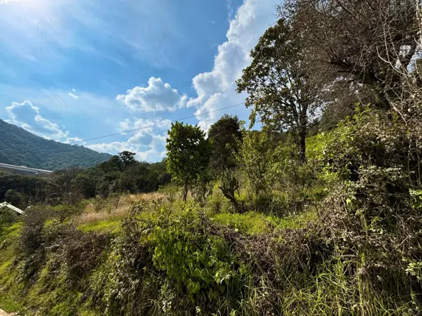 Terreno en venta en El Aviadero, Omitlán de Juárez — foto 2 de 5