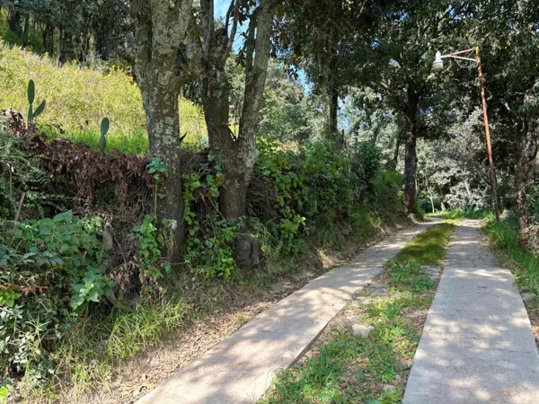 Terreno en venta en El Aviadero, Omitlán de Juárez — foto 3 de 5