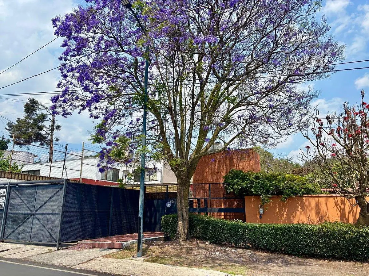 Casa en venta en San Jeronimo Lidice, La Magdalena Contreras — foto 1 de 11